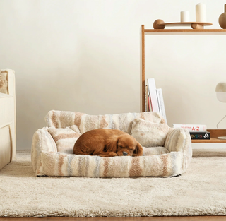 Giochi e accessori per animali domestici