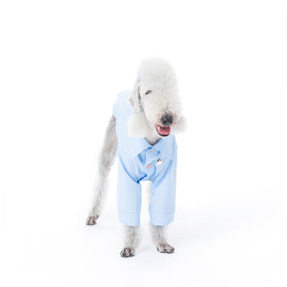 Camicia per cani in bambù antiallergica rinfrescante