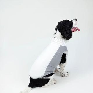 Gilet rinfrescante per cani SBL