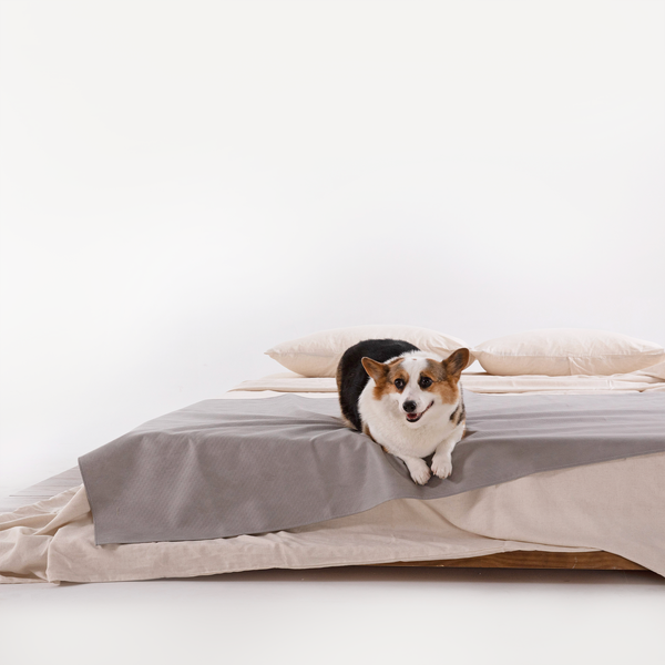 Coperta Impermeabile Per Cani 2 Lati | Grigio Scuro/Chiaro 77x178cm | Lavabile E Antiscivolo