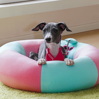 Cuccia per animali domestici ZEZE Pets Cooling Floatie