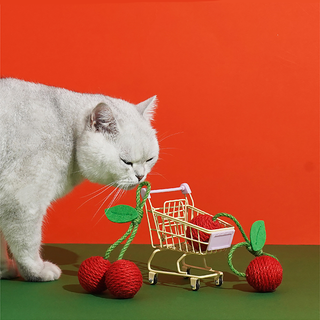 Giocattoli per Gatti Frutta Tropicale ZEZE Pets