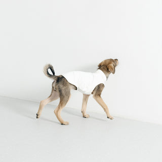 Gilet per cani GASU's Flaner UPF1000+