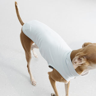 Gilet per cani GASU's Flaner UPF1000+