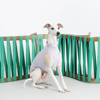 Gilet per cani GASU's Flaner UPF1000+