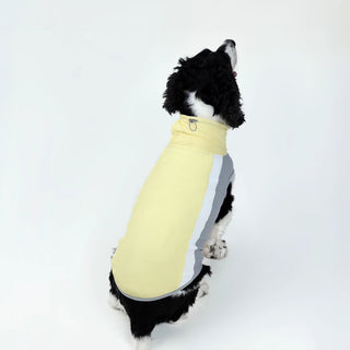 Gilet rinfrescante per cani SBL