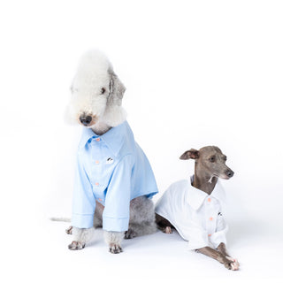 Camicia per cani in bambù antiallergica rinfrescante