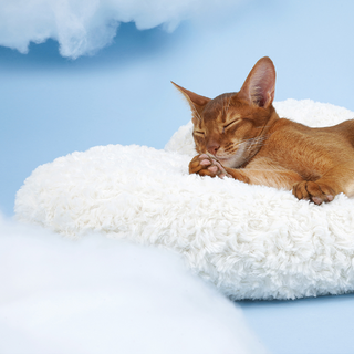 Cuccia per animali domestici ZEZE Pets Cloud