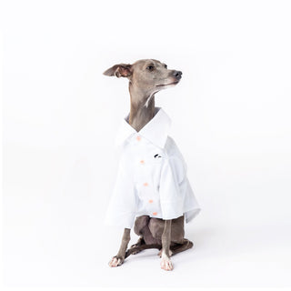 Camicia per cani in bambù antiallergica rinfrescante