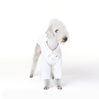 Camicia per cani in bambù antiallergica rinfrescante