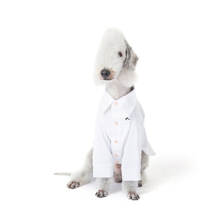 Camicia per cani in bambù antiallergica rinfrescante