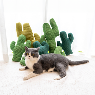 Giocattolo Erba Gatta Cactus ZEZE Pets