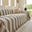 Marrone cacao