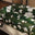 Fiore di foresta