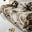 Fiori beige
